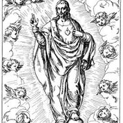 «En Él han de colocarse todas las esperanzas»