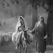 El Señor cambia nuestros planes como a san José