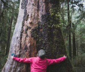 Antiespecismo contra la especie humana