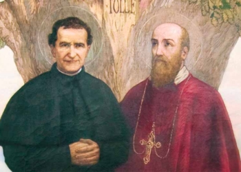 San Francisco de Sales y la  fundación de la Orden de la  Visitación de Nuestra Señora