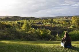 Creación y contemplación